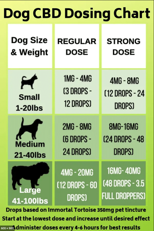 How much CBD oil should you give your dog